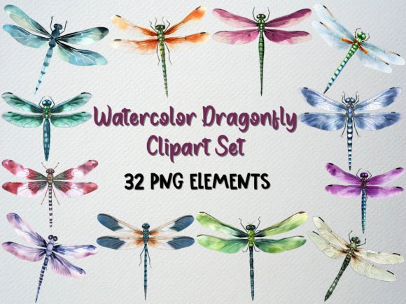 Watercolor Dragonfly Clipart Set: Editorial Illustrations