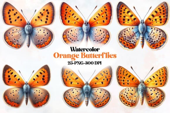 Watercolor Orange Butterflies Clipart Review